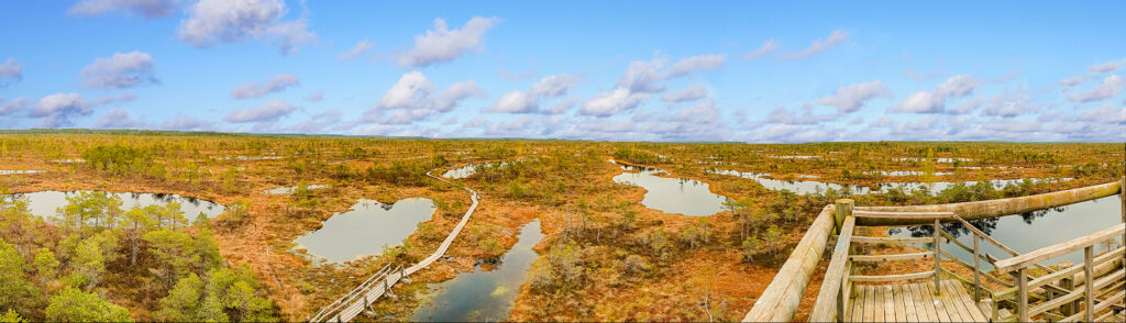 Moor Wanderung, Natur pur